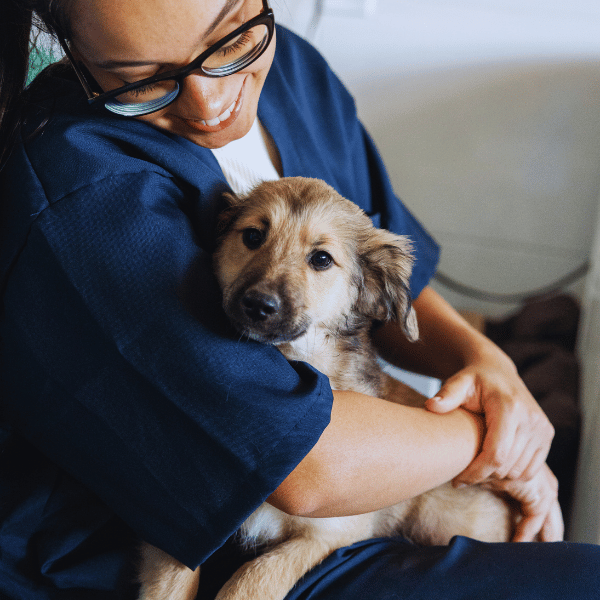 Ironstone Veterinary Clinic (1920 x 450 px) (700 x 500 px)